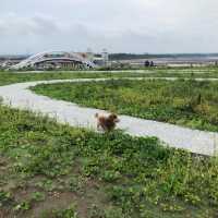 望海步道草地區