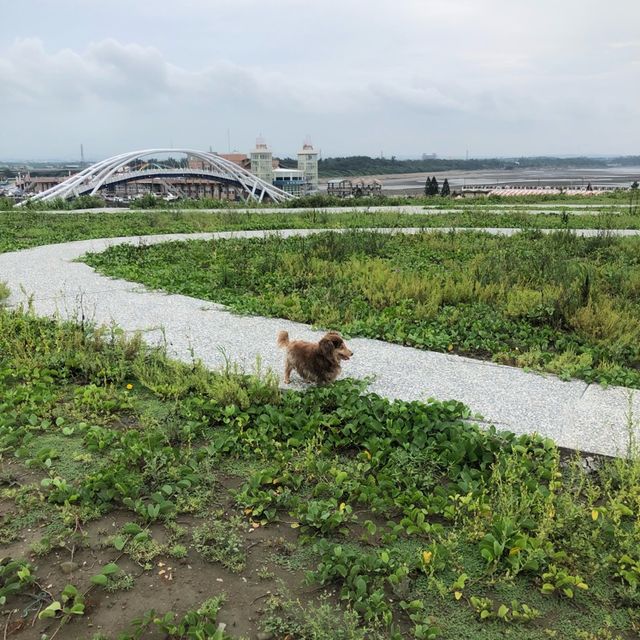 望海步道草地區