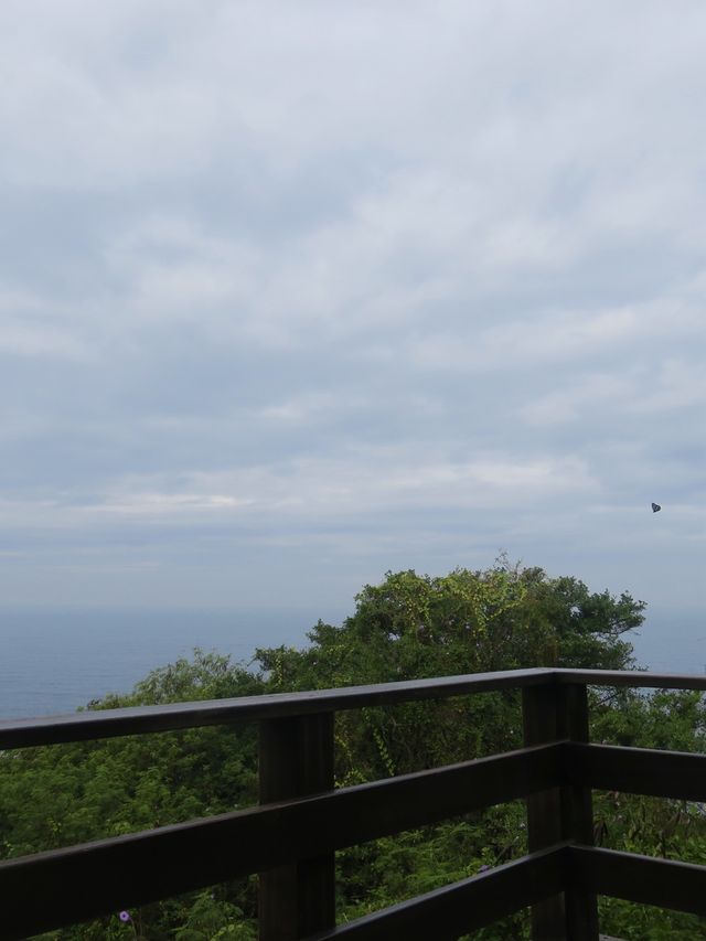小琉球隱藏的原始森林🌳《山豬溝》