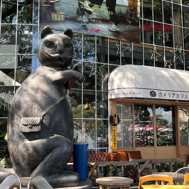 Think park Shibuya Chiang Mai 📍