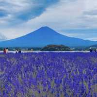 富士山🗻我終於見到啦！！