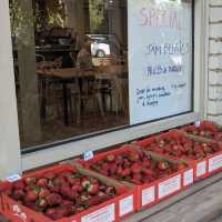 Rocky Creek Strawberry Farm