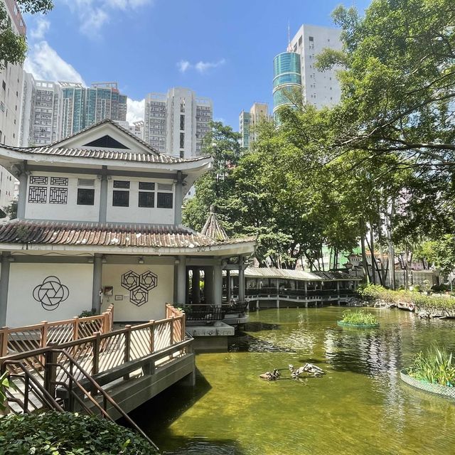 🌳荃灣區·古樸後花園🌳 🌳荃灣區·古樸後花園🌳