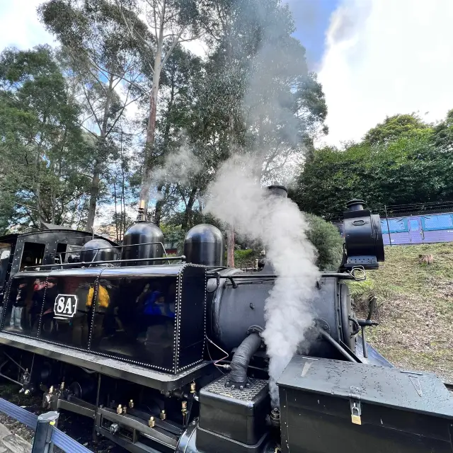 踏上百年蒸汽火車🚂 觀賞世界上最細企鵝🐧