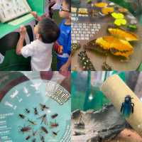 《迷你版生物多樣性博物館在將軍澳》