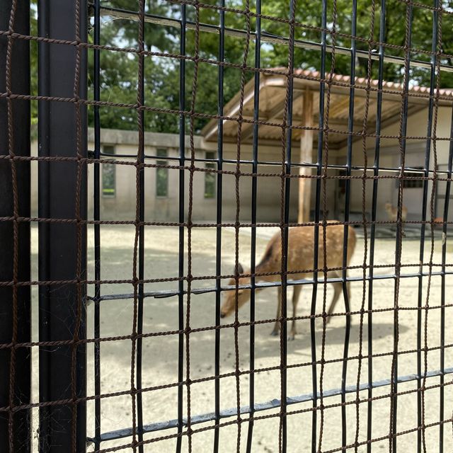 【愛知県西三河の旅】安城公園