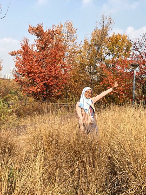 one of the prettiest autumn foliage in seoul