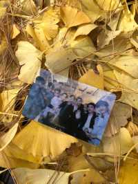 one of the prettiest autumn foliage in seoul
