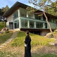 조용한 도자기카페 ‘코유’🌳🦥