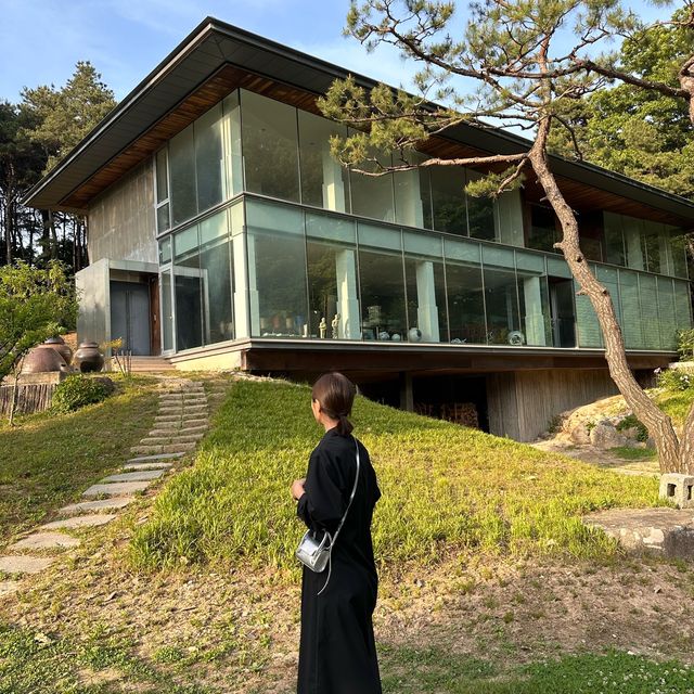 조용한 도자기카페 ‘코유’🌳🦥