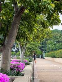 🍃 เที่ยวสวนสีเขียวใจกลางกรุงกันที่ สวนเบญจกิติ
