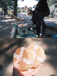 日本 | 奈良之旅 去奈良公園看小鹿🦌