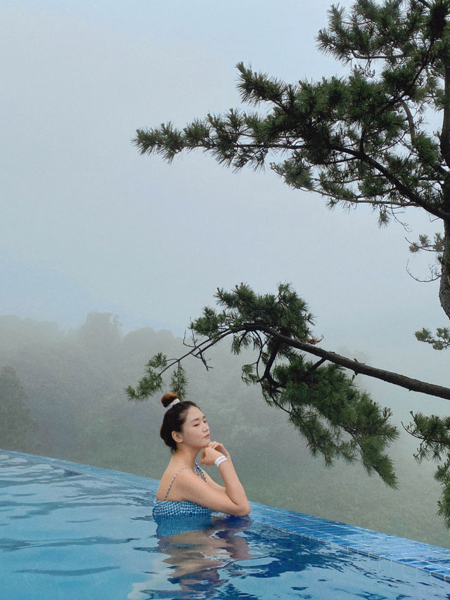 제주 원시림과 가장 가까이 있는 수영장 숙소🌴
