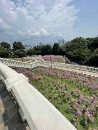 🇸🇬 Terrace Garden: It feels like Spring 🌸