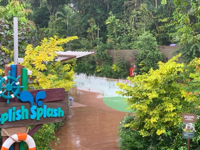 Playtime At Singapore Zoo