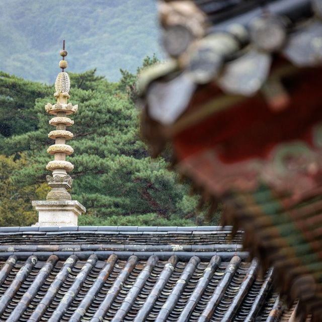 Beautiful Bulguksa Temple is Gyeongju