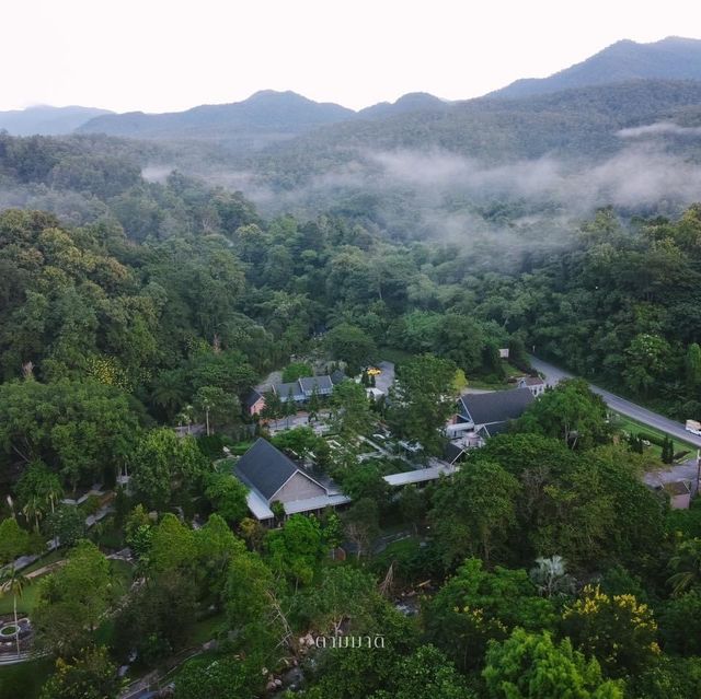 ที่พักกลางหุบเขา ที่ Flora Creek , Chiang Mai ⛰️
