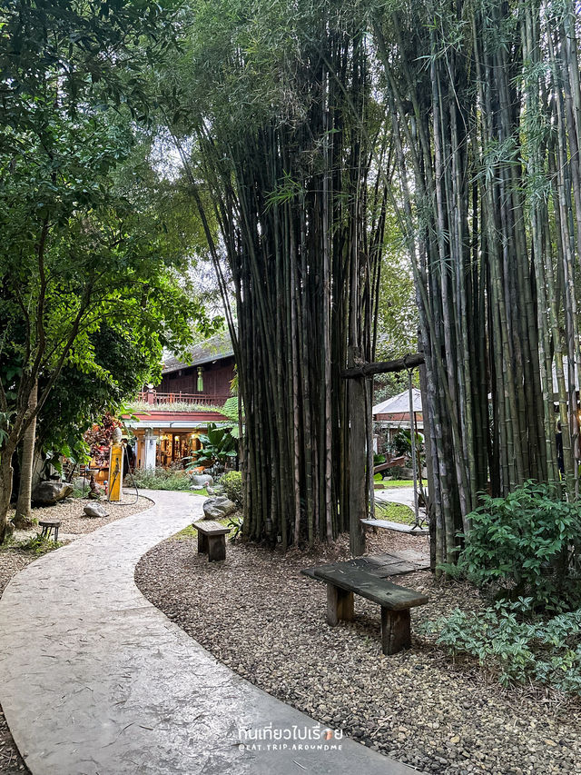 🌳จิบกาแฟที่ Horizon Harvest