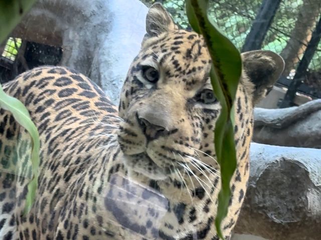 破格の600円で楽しめる動植物園！