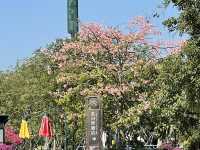 汕尾兩日遊：淺享海濱風光，尋找小城浪漫》