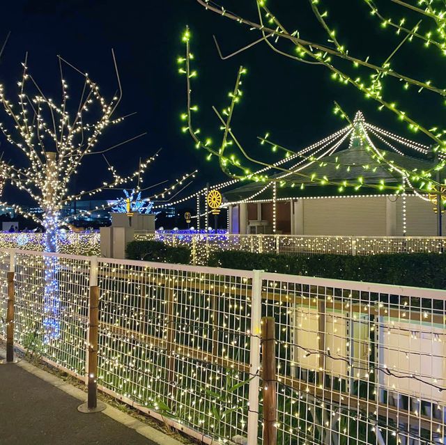 Tokyo Mega Illumination, Shinagawa Tokyo 🇯🇵