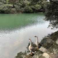 基隆 情人湖公園 及 大武崙山