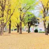 ใบไม้เปลี่ยนสีที่โตเกียว...Ueno Park