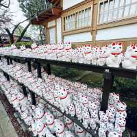 Lucky cat lucky charm Gotoku-ji Tokyo