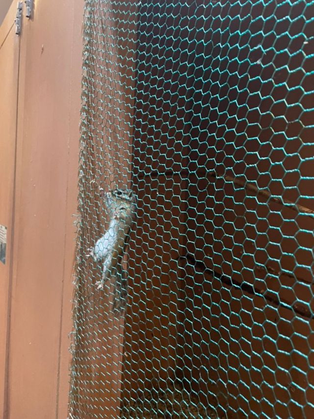 직접 체험도 할수있는 파주 놀거리‘헤이리 예술마을’