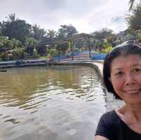 Game on a dip at Sg. Lalang Hotspring, Semenyih