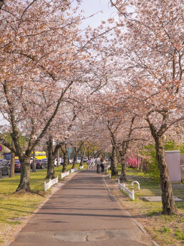 영화 속 한 장면 같던 황룡원 💞
