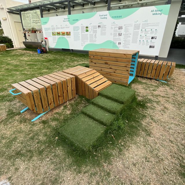 親子假日好去處 @ 薄鳧林牧場