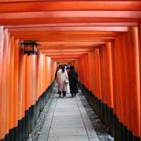 京都 - 千本鳥居