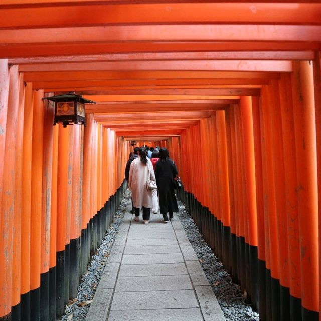 京都 - 千本鳥居