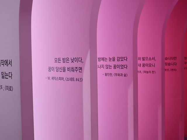여수 핫플 추천, 뮤지엄 오브 컬러