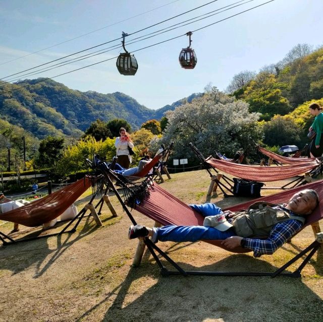 【兵庫 神戸】ハンモックでのんびり✨