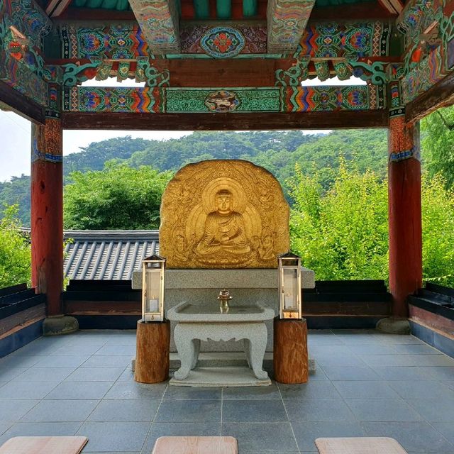양평 용문사, 1100년 은행나무의 위엄에 놀라다