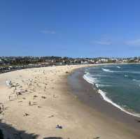 The famous Bondi Icebergs