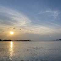 야자수가 드리운 얕은 해변 금능해수욕장🌴🌊