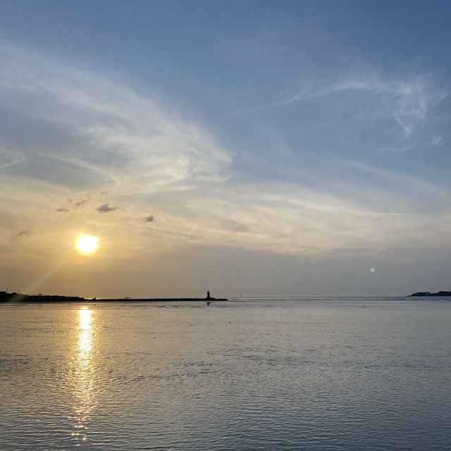 야자수가 드리운 얕은 해변 금능해수욕장🌴🌊