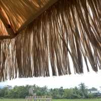 ยุ้งฉางคาเฟ่ ฟีลบาหลีที่ชุมชนขนมแปลกหนองบัว