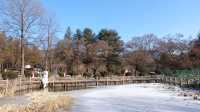 Reminiscing Winter Sonata in Nami Island