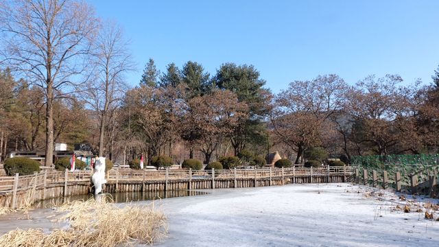 Reminiscing Winter Sonata in Nami Island