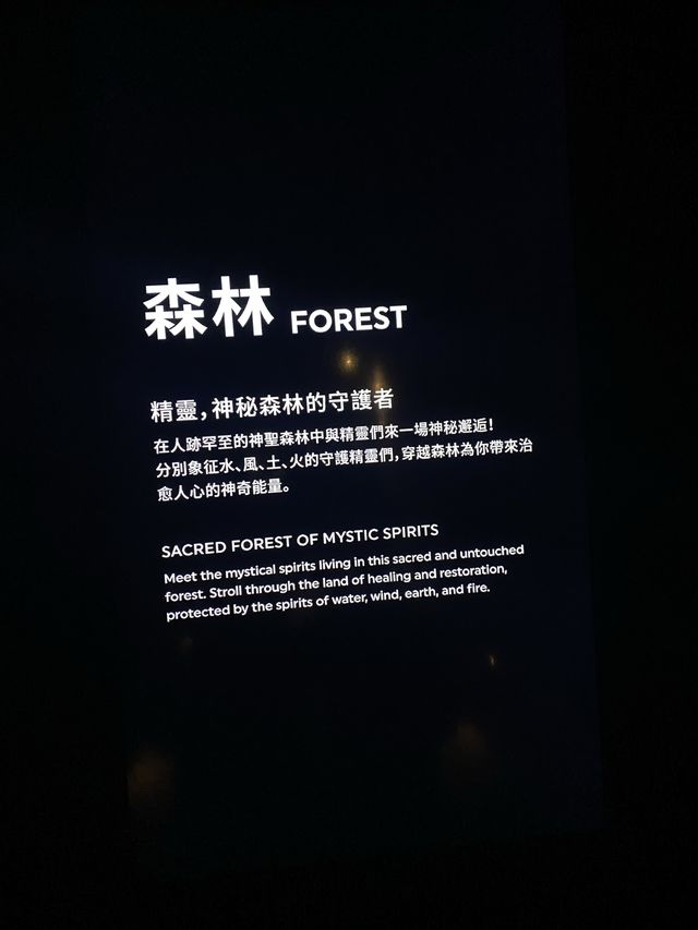 暑假開始🎉欣賞ARTE M 燈光數碼藝術