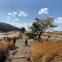 曽爾高原