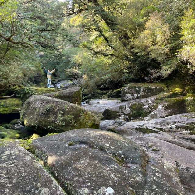 世界自然遺産の島へ行こう！！！