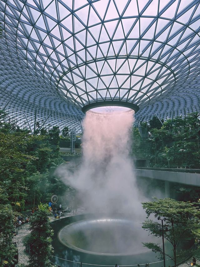 《新加坡》世界最高室內瀑布 樟宜機場必拍雨漩渦-星耀樟宜