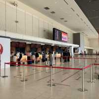 大阪国際空港