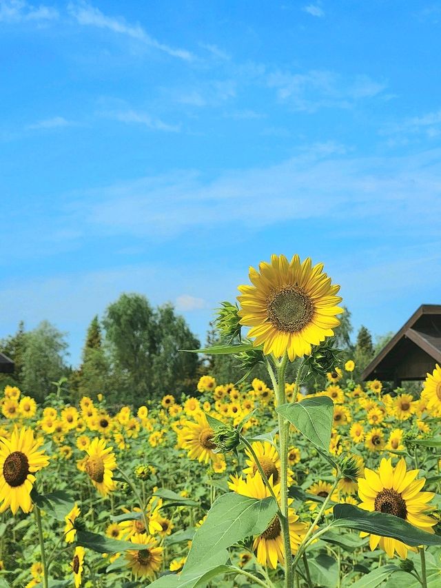 서울근교 힐링스팟 💚🌿갯골생태공원