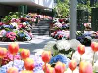 Miracle of Natural สวนดอกไม้เมืองหนาว 🌸🌹🌻💐